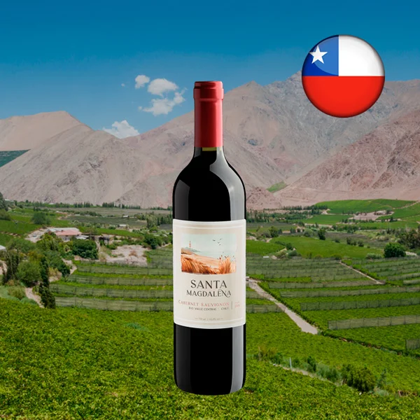 Santa Magdalena Cabernet Sauvignon Valle Central D.O. 2020 - Oferta