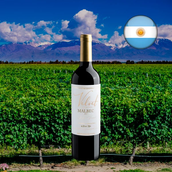 Velvet Collection Single Vineyard Malbec 2020 - Oferta