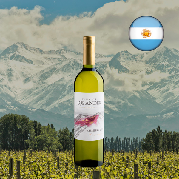 Viña de Los Andes Chardonnay 2021 01 - Oferta
