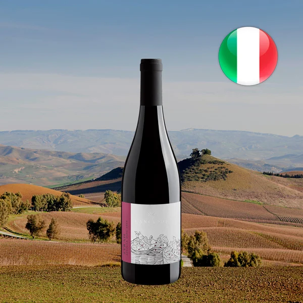 Canceddi Syrah Sicilia DOC 2019 - Oferta