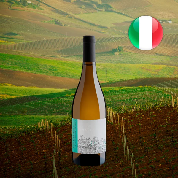 Canceddi Vermentino Terre Siciliane IGT 2019 - Oferta