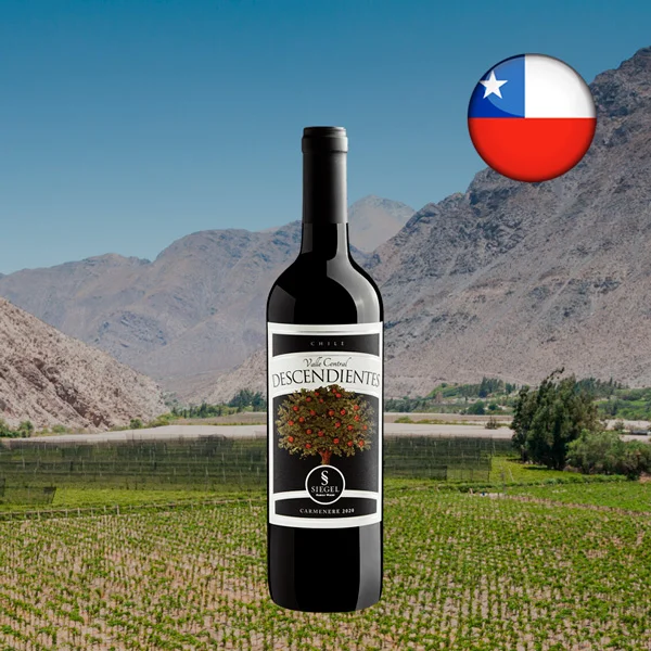 Descendientes Carmenere 2020 - Oferta