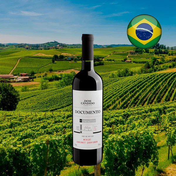 Documento Merlot-Cabernet Sauvignon Vale dos Vinhedos D.O. - Oferta