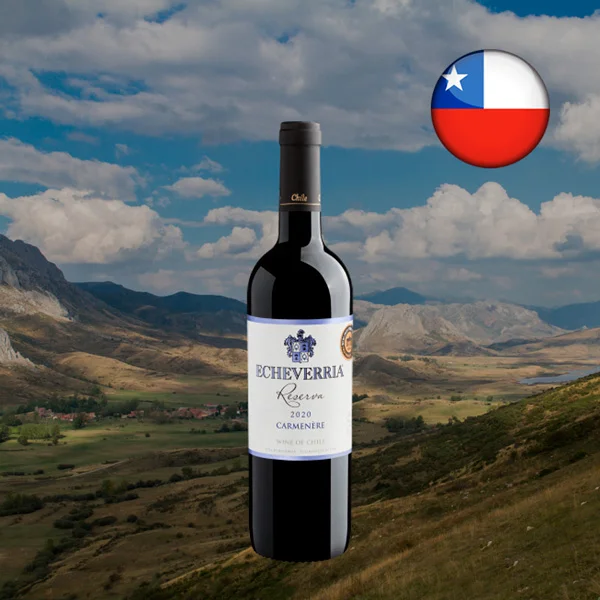 Echeverria Reserva Carménère 2020 - Oferta