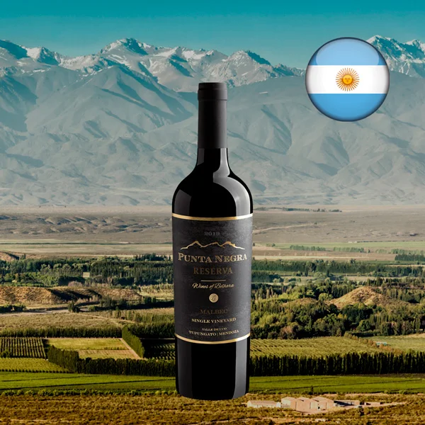 Punta Negra Reserva Malbec Single Vineyard 2019 - Oferta