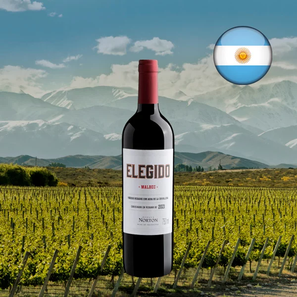 Bodega Norton Elegido Malbec 2021 - Oferta