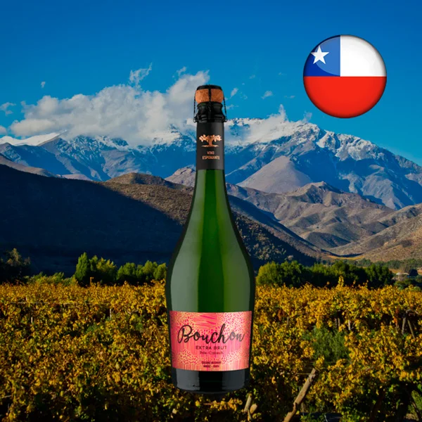 Espumante Bouchon País Cinsault Extra Brut 2019 - Oferta