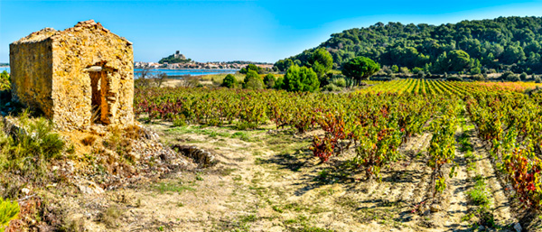 Gérard Bertrand Héritage An 118 I.G.P. Coteaux de Narbonne 2020 - Terroir