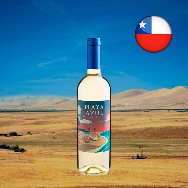 Playa Azul Winemaker Selection Sauvignon Blanc Central Valley D.O. 2021 - Oferta
