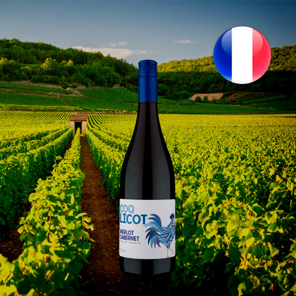 Coq Licot Vin de France Merlot Cabernet 2020 - Oferta