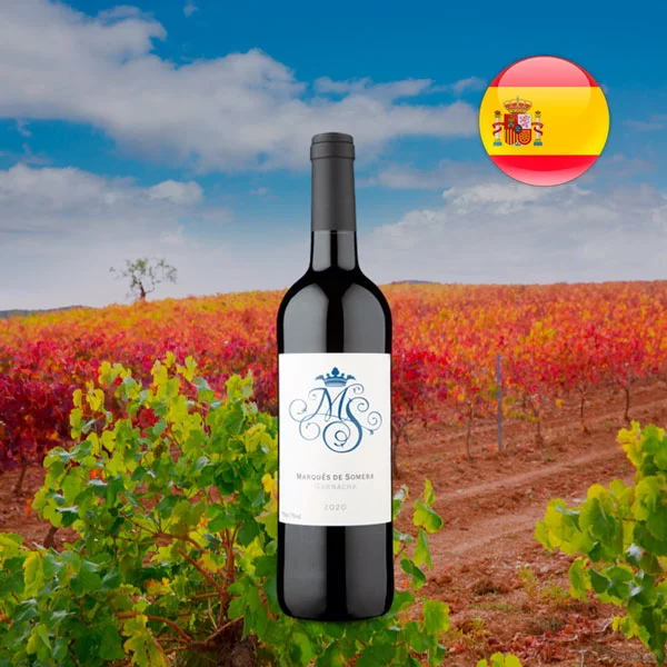 Marqués de Somera Garnacha 2020 - Oferta