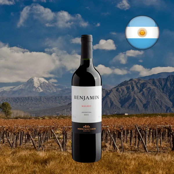 Nieto Senetiner Benjamin Malbec 2021 - Oferta