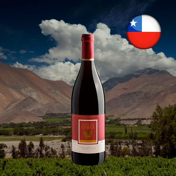 Nube de Oro Pinot Noir 2021 - Oferta