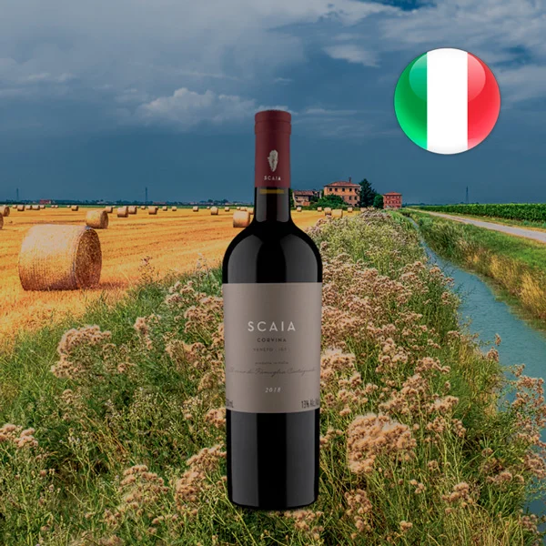 Tenuta Sant`Antonio Scaia I.G.T. Veneto Corvina 2018 - Oferta