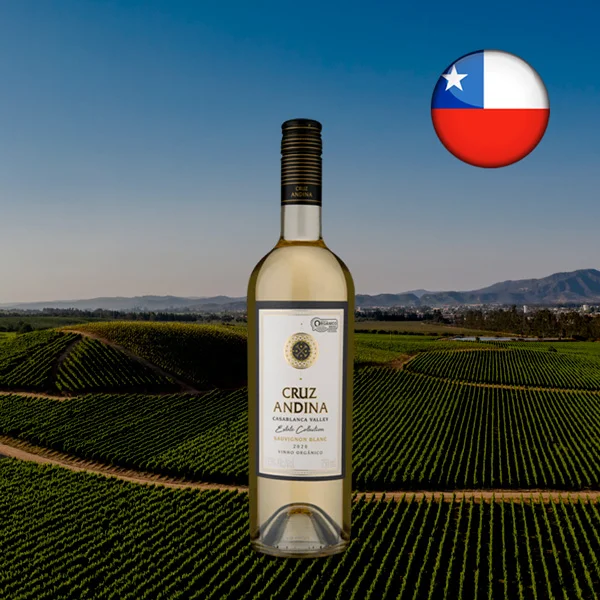 Cruz Andina Reserva Sauvignon Blanc Orgânico 2020 - Oferta