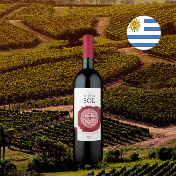 Pueblo del Sol Roble Cabernet Sauvignon 2020 - Oferta