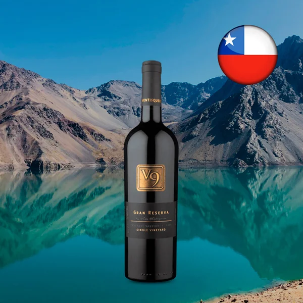 V9 Gran Reserva D.O. Valle del Maipo Cabernet Sauvignon 2019 - Oferta