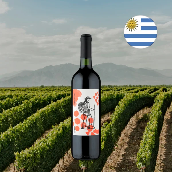 Vineyard Art Tannat 2020 - Oferta