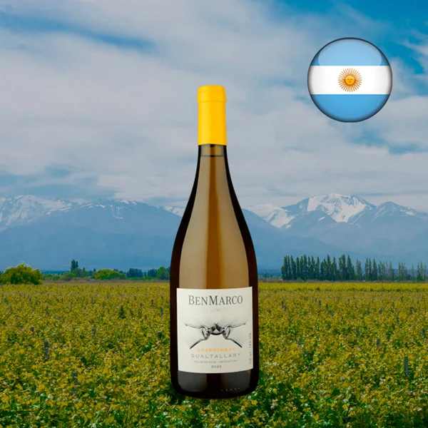 BenMarco Sin Límites Valle de Uco Chardonnay 2020 - Oferta