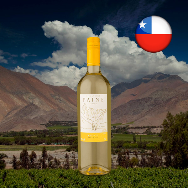 Paine Moscato 2021 - Oferta