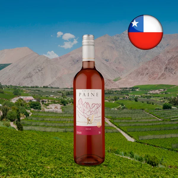 Paine Pink Moscato 2021 - Oferta