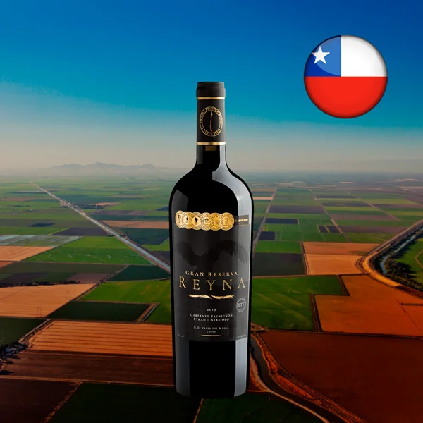 Reyna Gran Reserva Cabernet Sauvignon Syrah Nebbiolo Valle del Maule DO 2019 - Oferta