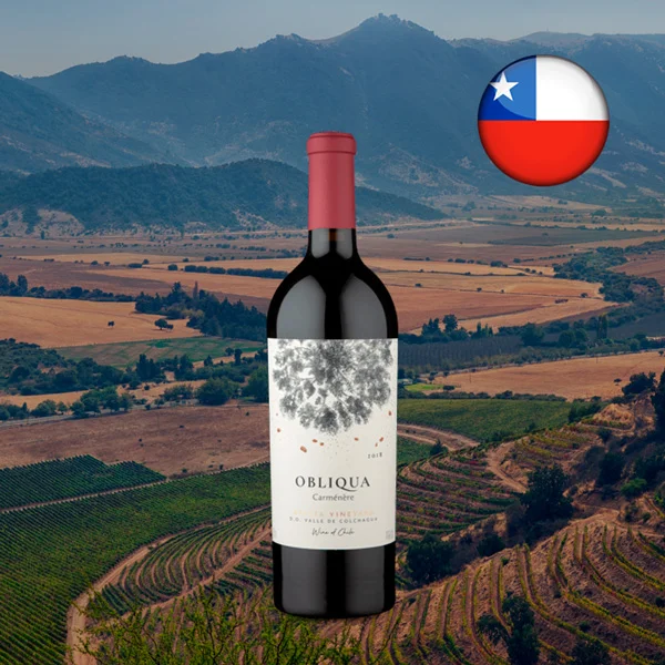 Ventisquero Obliqua Valle de Colchagua Carménère 2018 - Oferta