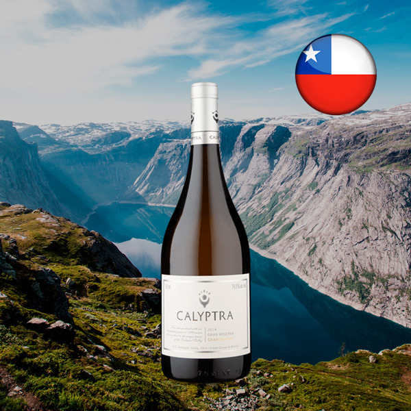 Calyptra Gran Reserva Chardonnay 2019 - Oferta