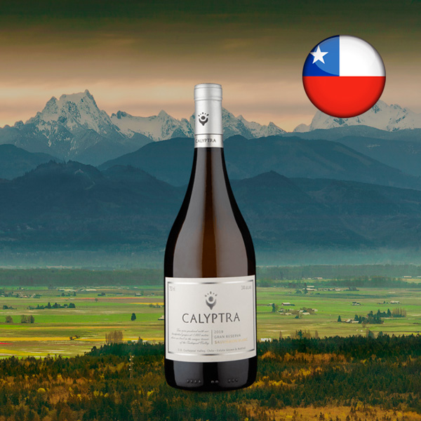 Calyptra Gran Reserva Sauvignon Blanc 2019 - Oferta