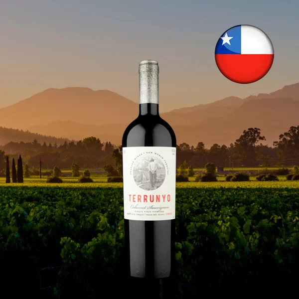 Concha Y Toro Terrunyo Cabernet Sauvignon 2018 - Oferta