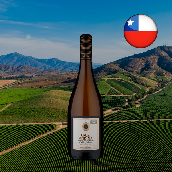 Cruz Andina Reserva Chardonnay 2019 - Oferta