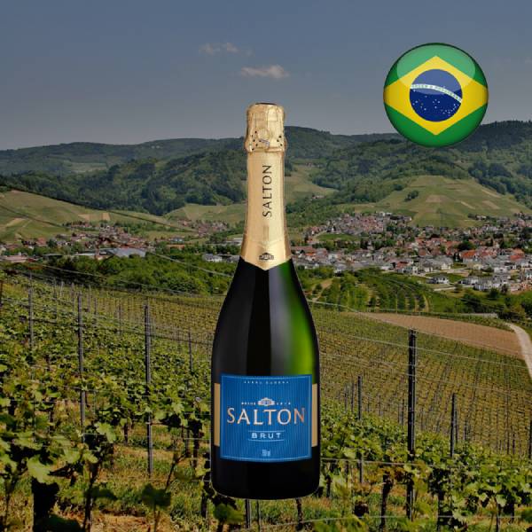 Espumante Salton Brut - Oferta