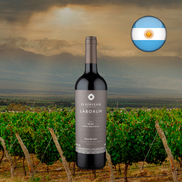 Laborum Limited Single Block Valle de Cafayate Malbec 2019 - Oferta