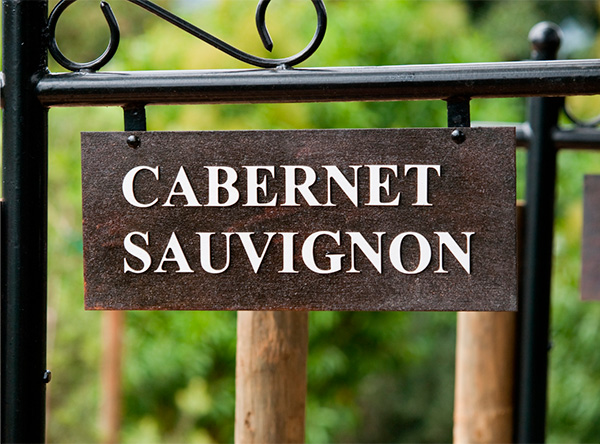 Os 10 melhores vinhos Cabernet Sauvignon para seu próximo jantar