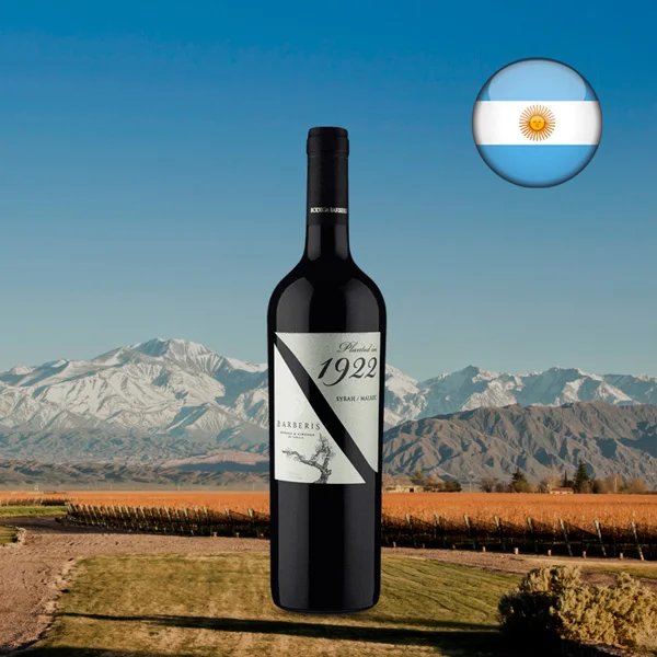 1922 Syrah Malbec 2020 - Oferta