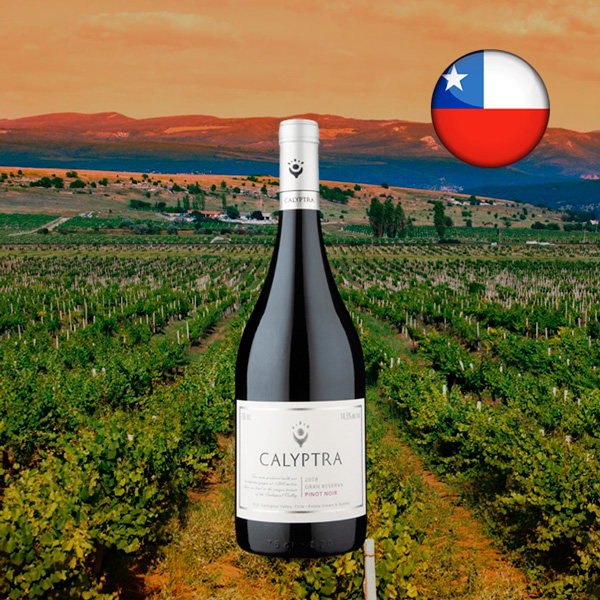 Calyptra Gran Reserva Pinot Noir 2018 - Oferta