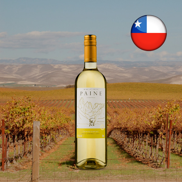 Paine Chardonnay 2021 - Oferta