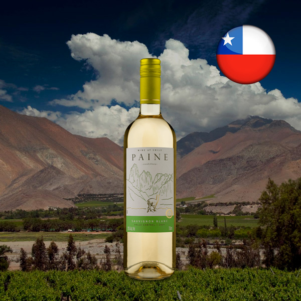 Paine Sauvignon Blanc 2021 - Oferta