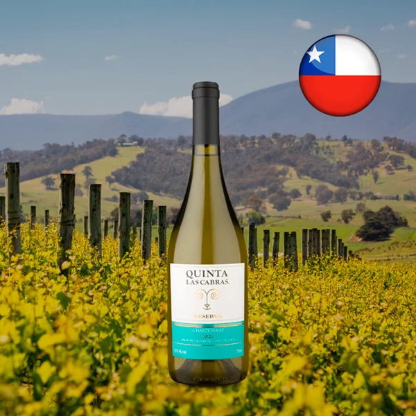 Quinta Las Cabras Reserva Chardonnay 2021 - Oferta