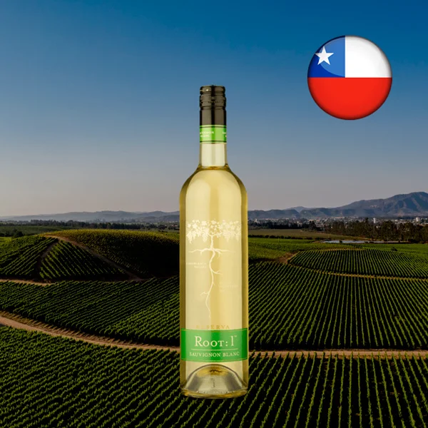 Root 1 Reserva Sauvignon Blanc 2021 - Oferta