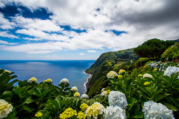 Verdelho o Original by António Maçanita Açores IG 2019 - Terroir