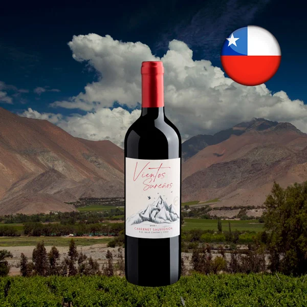 Vientos Sureños Cabernet Sauvignon Valle Central DO 2021 - Oferta