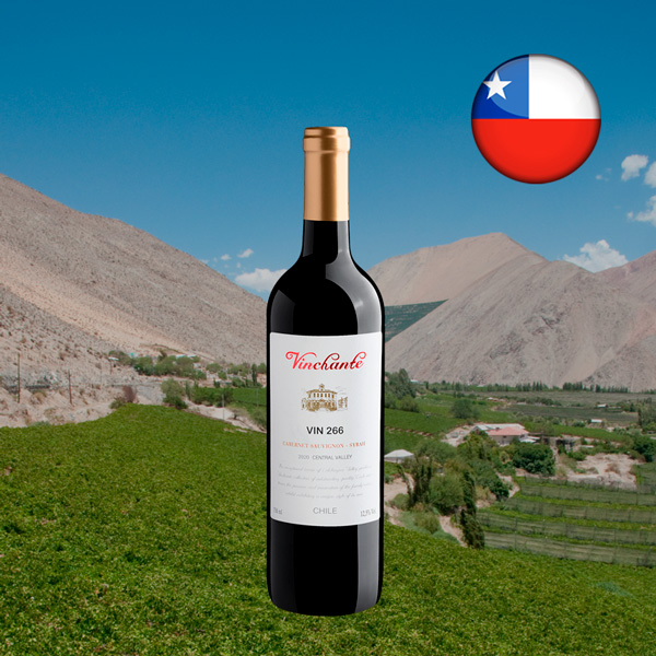 Vinchante Vin 266 Cabernet Sauvignon-Syrah Central Valley 2020 - Oferta