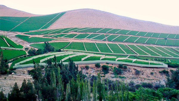 Expedicion Single Vineyard Selection Cabernet Sauvignon Central Valley DO 2022 - Terroir