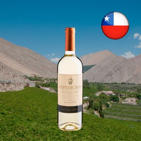 Finca Patagonia Expedicion Single Vineyard Selection Sauvignon Blanc Central Valley DO 2022 - Oferta