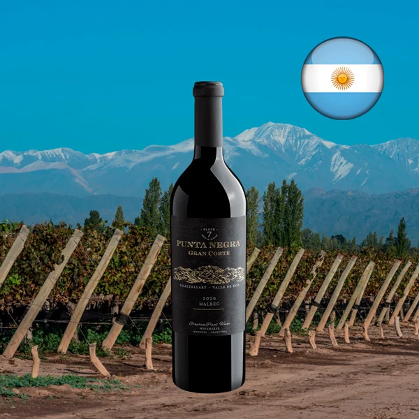 Punta Negra Block 7 Gran Corte Malbec 2020 - Oferta