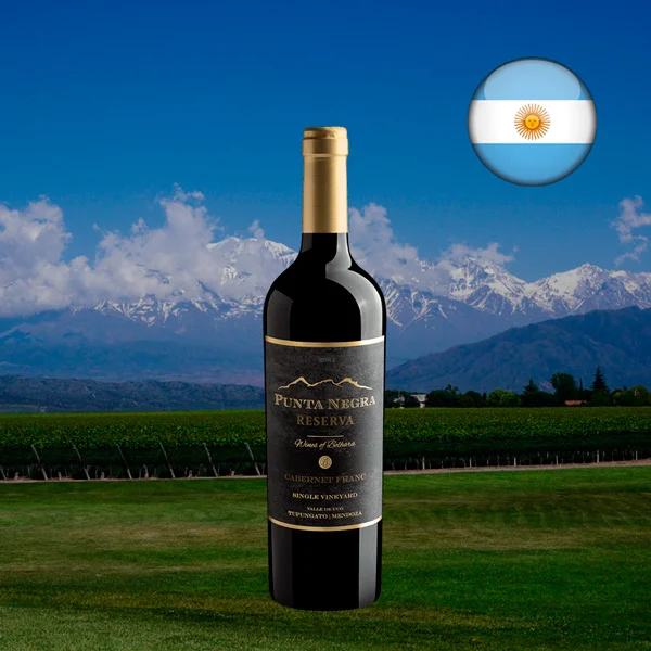 Punta Negra Reserva Cabernet Franc Single Vineyard 2021 - Oferta