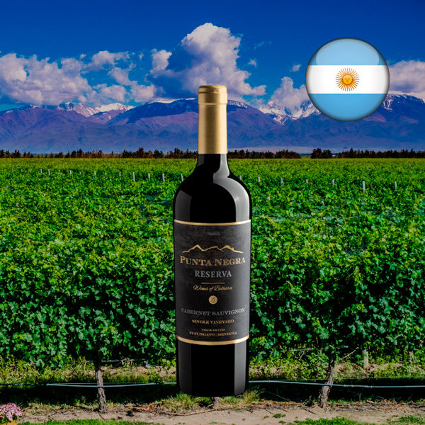 Punta Negra Reserva Cabernet Sauvignon Single Vineyard 2020 - Oferta