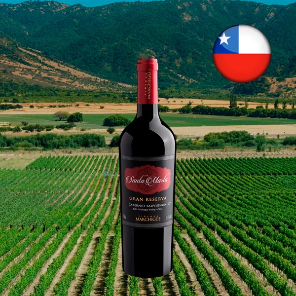 Santa Marta Gran Reserva Cabernet Sauvignon Colchagua Valley DO 2019 - Oferta