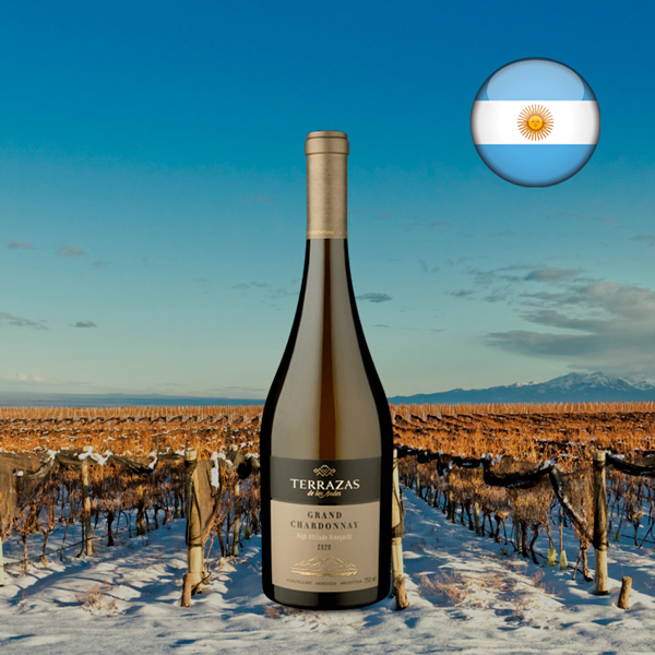 Terrazas de Los Andes Grand Chardonnay 2020 - Oferta